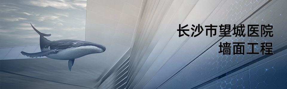 長(zhǎng)沙市望城區(qū)人民醫(yī)院建筑外觀