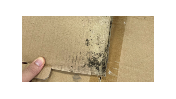 裝修技巧！紙箱倉庫如何防潮防霉，百適涂無機(jī)涂料支招！