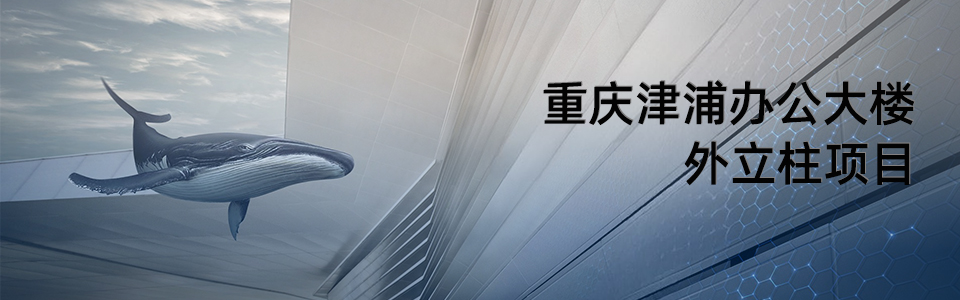 重慶津浦辦公大樓外立柱項(xiàng)目 重慶津浦辦公大樓外立柱項(xiàng)目