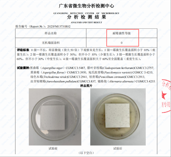 涂料抗菌實(shí)驗(yàn) 抗菌性能測試效果