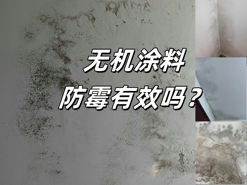 無機涂料與普通涂料防霉效果對比 墻面發(fā)霉對比圖